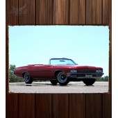 Металлическая табличка Buick LeSabre Custom Convertible